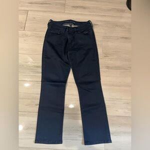 Banana Republic Navy Skinny Pants